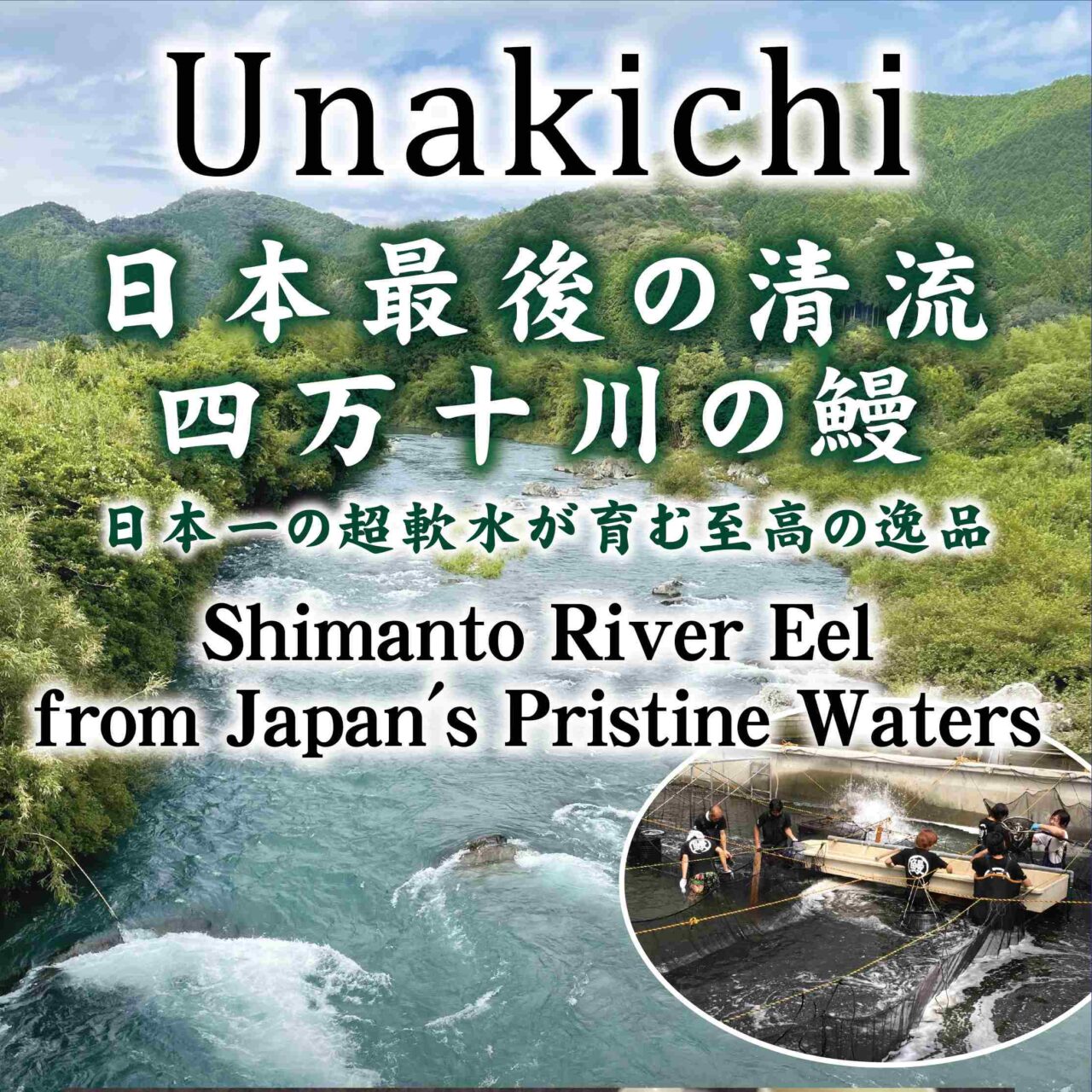 日本最後の清流・四万十川の鰻を紹介するうな吉のイメージ画像。日本一の超軟水が育む至高の逸品というテキスト入り。