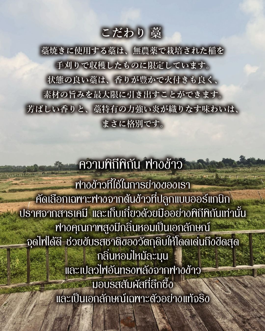 An informative graphic with Japanese and Thai bilingual text set against a scenic rural rice field background, explaining the commitment to pesticide-free, hand-harvested rice straw (Wara) used for authentic Warayaki straw-grilling at Robatayaki & Sake Aoki in Thonglor, Bangkok. Reference filename: aoki-9.jpg.