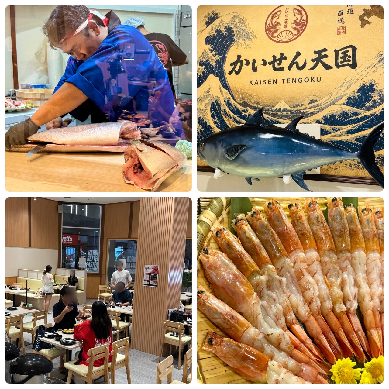 A 4-split collage photo showcasing the vibrant atmosphere and fresh offerings at Kaisen Tengoku, DONKI Mall Thonglor. Top-left shows a chef expertly cutting a large fresh fish; top-right features the restaurant's logo sign with a tuna display and a Japanese wave motif; bottom-left displays customers enjoying their meals in the bright, modern dining area; and bottom-right presents a plate of beautifully arranged, glistening raw red shrimp (Akaebi) ready to be served.