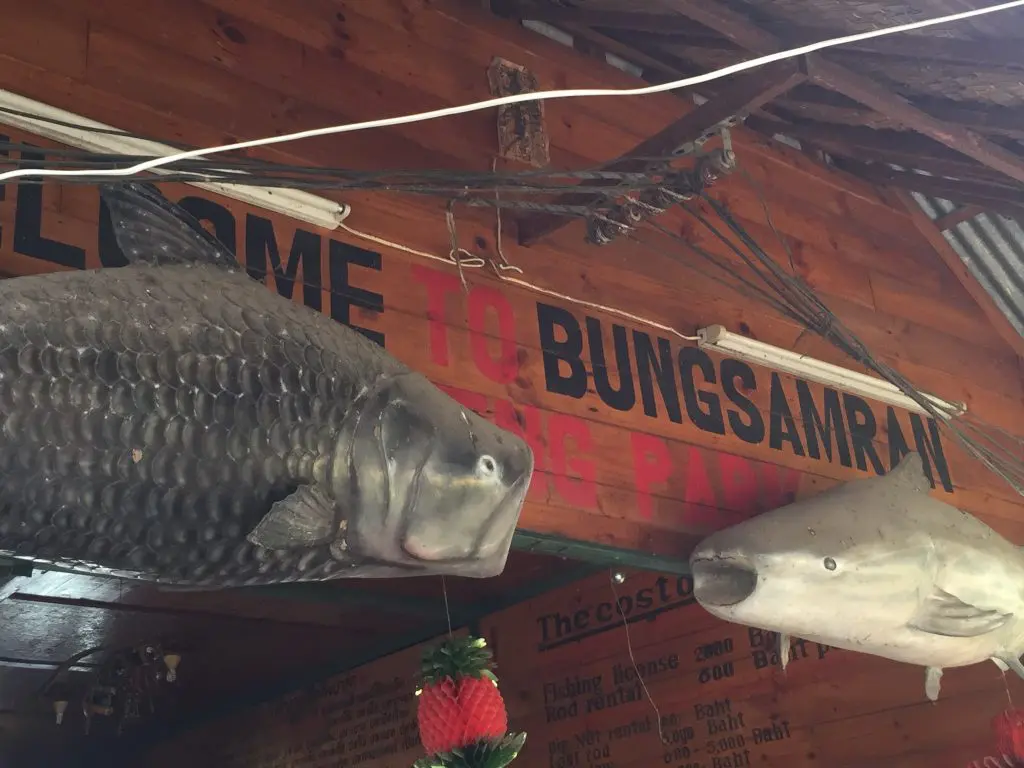 บึงสำราญ จังหวัด กรุงเทพมหานคร,Bungsamran Fishing Park,ブンサムラン・フィッシングパーク,タイ,バンコク,釣り,フィッシング,魚釣り,メコンオオナマズ,怪魚ハンター,旅行,観光,おすすめ,楽しい,グルメ,タイ料理2017年,最新,情報,移転,閉鎖