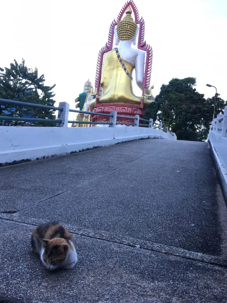 ワットクンジャン,ワットクンチャン,Wat KhunJan,วัดขุนจันทร์,タイ,バンコク,寺院,お寺,観光,スポット,旅行,行き方,説明,住所