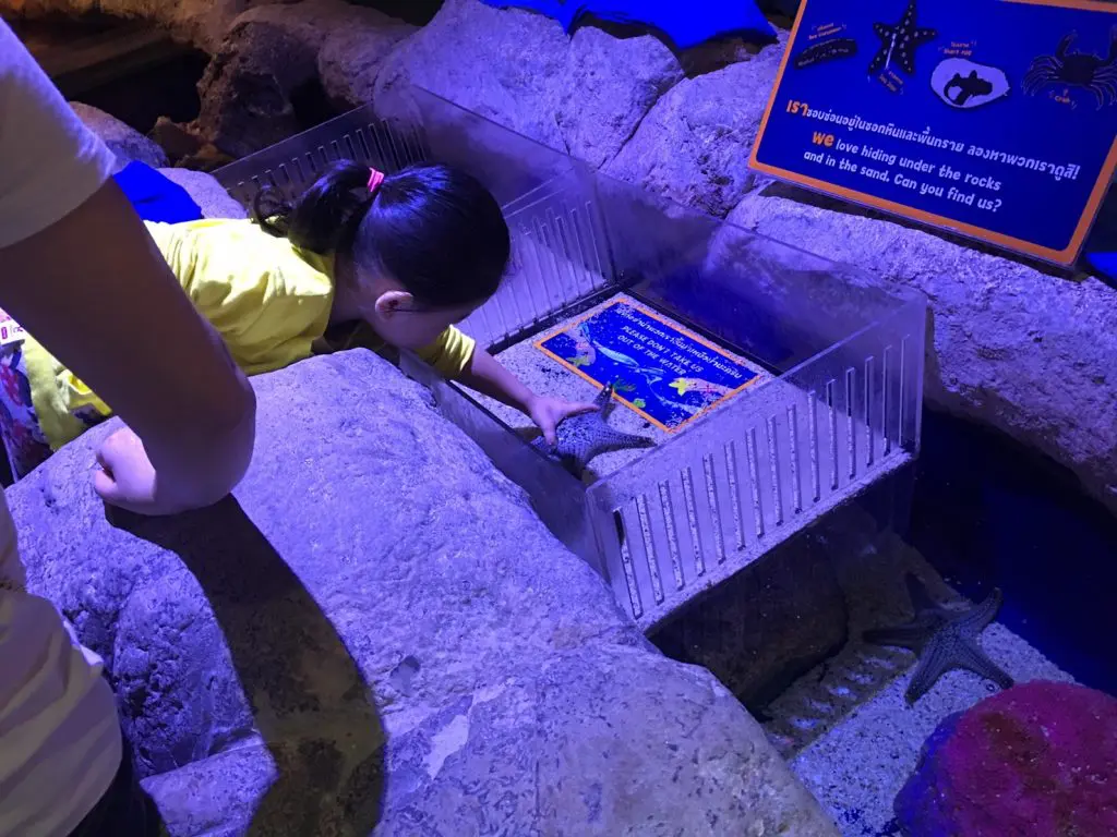 タイ,バンコク,水族館,サイアムオーシャンワールド,シーライフバンコク,サイアム駅,サイアムパラゴン,レジャー,観光,Sea Life Bangkok,ซี ไลฟ์ บางกอก โอเชียนเวิลด์