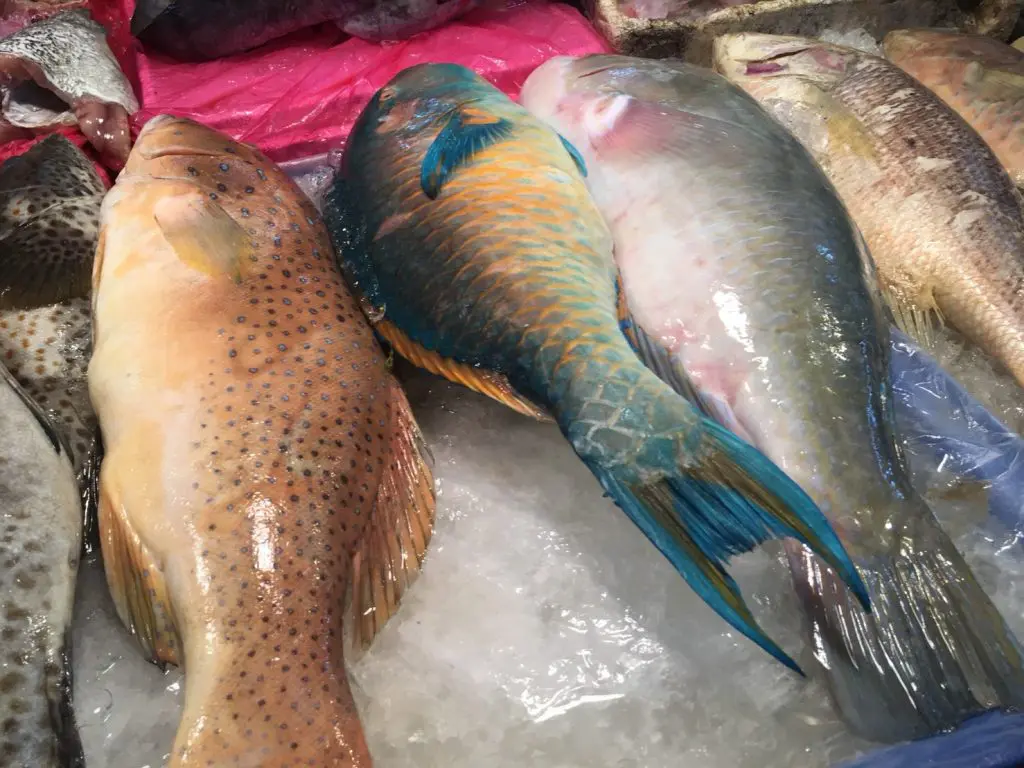 Naklua Fish Market,ランプ―マーケット,ナクルアマーケット,ローカル市場,タイ,パタヤ,魚,魚介類,マーケット,