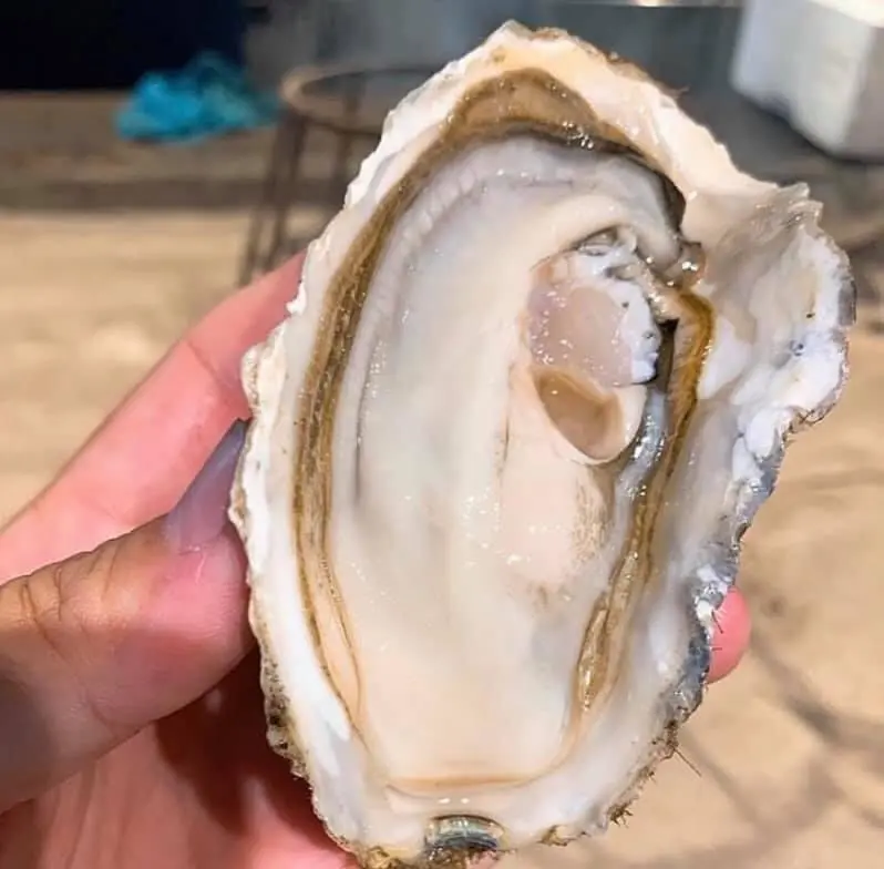 プロンポン 居酒屋のおすすめ 原始焼き Soi26店 日本直送の生ガキ