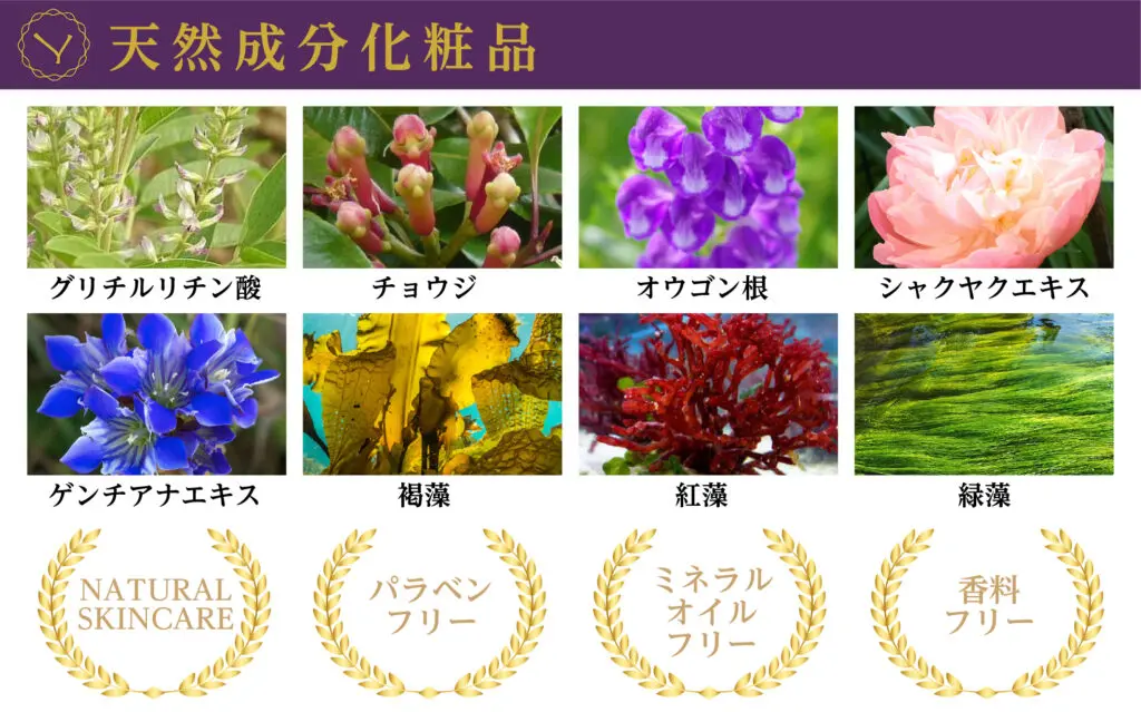 グリチルリチン酸,チョウジ,オウゴン根,シャクヤクエキス,ゲンチアナエキス,褐藻,紅藻,緑藻,パラベンフリー,ミネラルオイルフリー,香料フリー