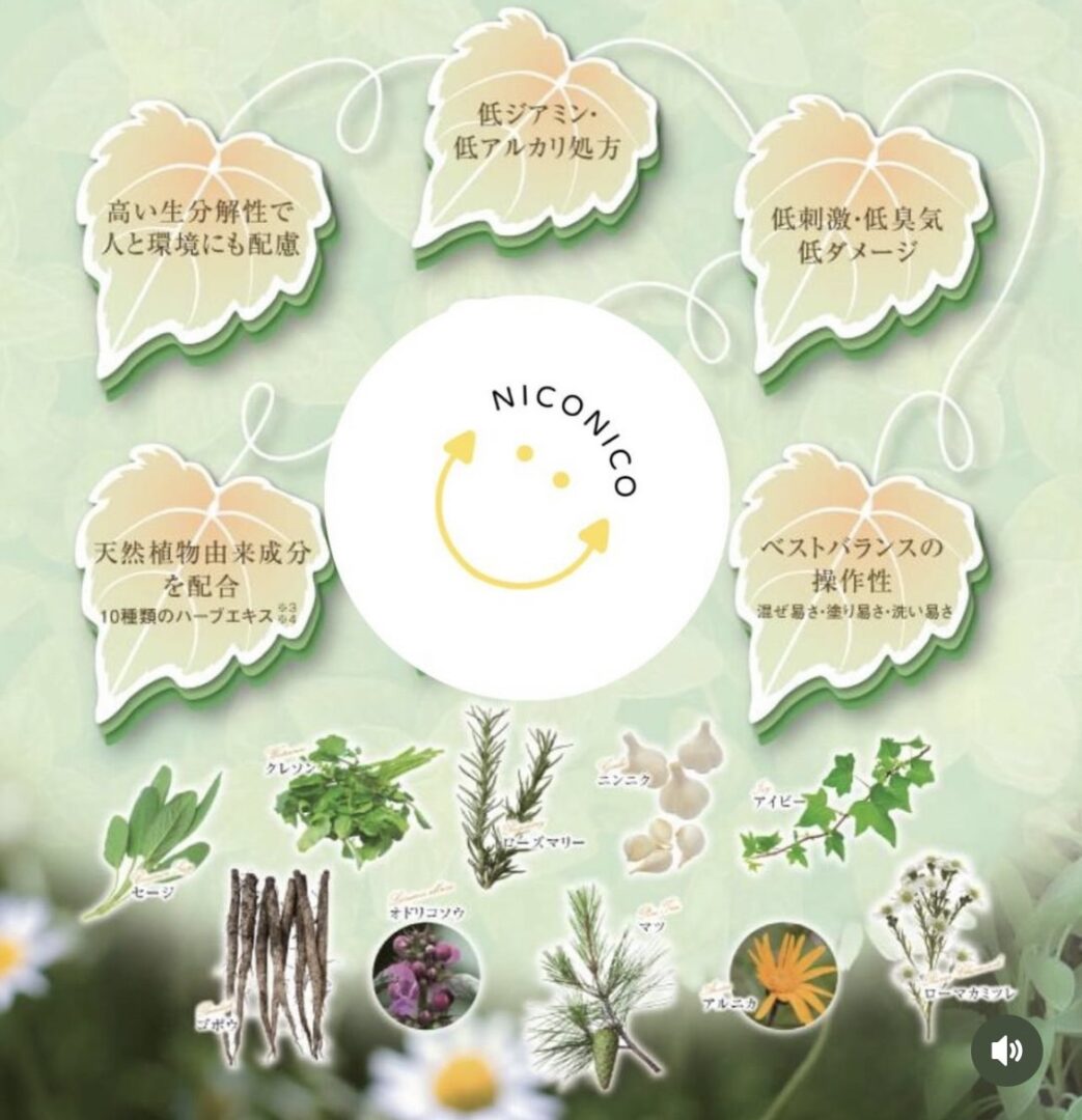 niconicoのヘアケア成分の説明

高い生分解性で人と環境にも配慮

低ジアミン、低アルカリ処方

低刺激・低臭気・低ダメージ

天然植物由来成分を配合（10種類のハーブエキス）

ベストバランスの操作性（混ぜ易さ・塗り易さ・洗い易さ）

下段（植物名）：
セージ／クレソン／ローズマリー／ニンニク／ネグリコウジ／アイビー／マツ／カレンデュラ／ローマカミツレ