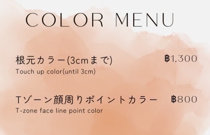 NICO NICO Touch up color salon PriceList