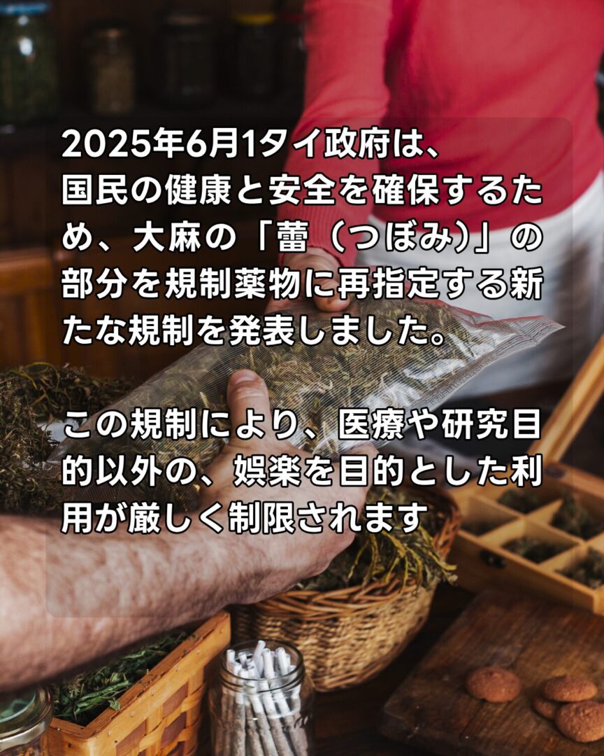 2025年6月1タイ政府は、 国民の健康と安全を確保するため、大麻の「蕾（つぼみ）」の部分を規制薬物に再指定する新たな規制を発表