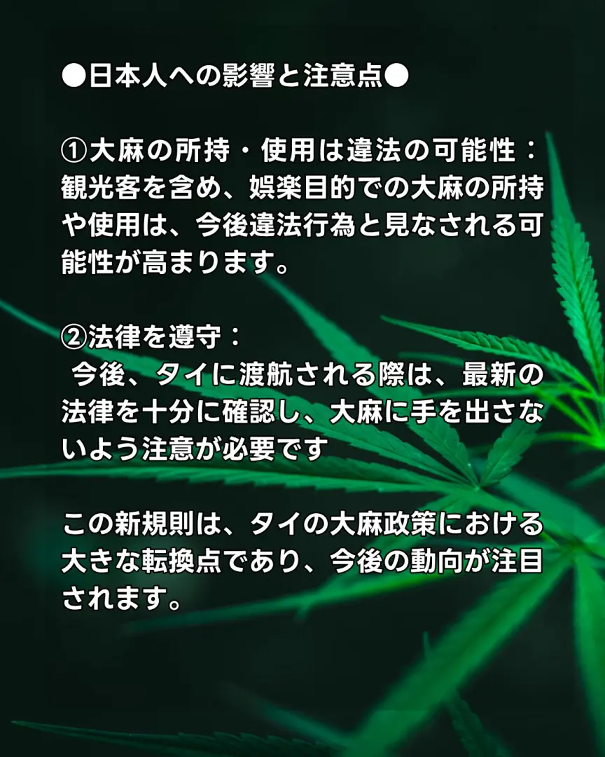 タイの大麻規制における日本人駐在者や旅行者への注意点