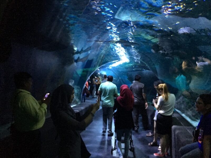 サイアムパラゴン地下の「Sea Life Bangkok Ocean World」水族館。ガラスのトンネル型アクアリウムを歩く来場者の様子。
