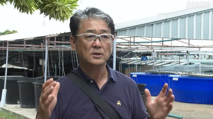 東京海洋大学　廣野育生教授