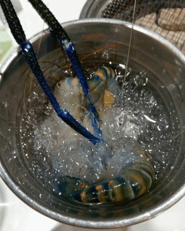 コートタレー シーフードビュッフェ スクンビット keita satouのレビュー 氷を入れたバケツに入った手長エビ