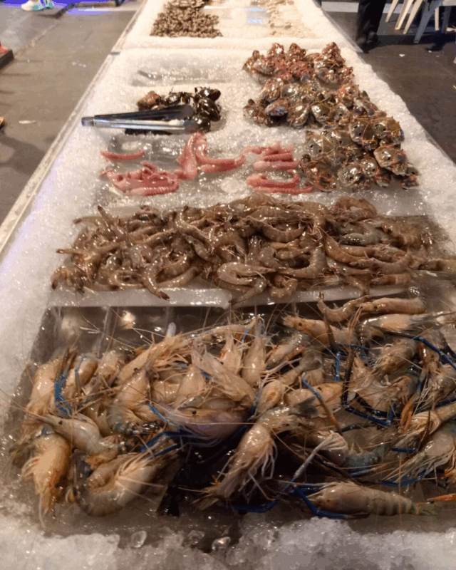 豊富な海鮮食材