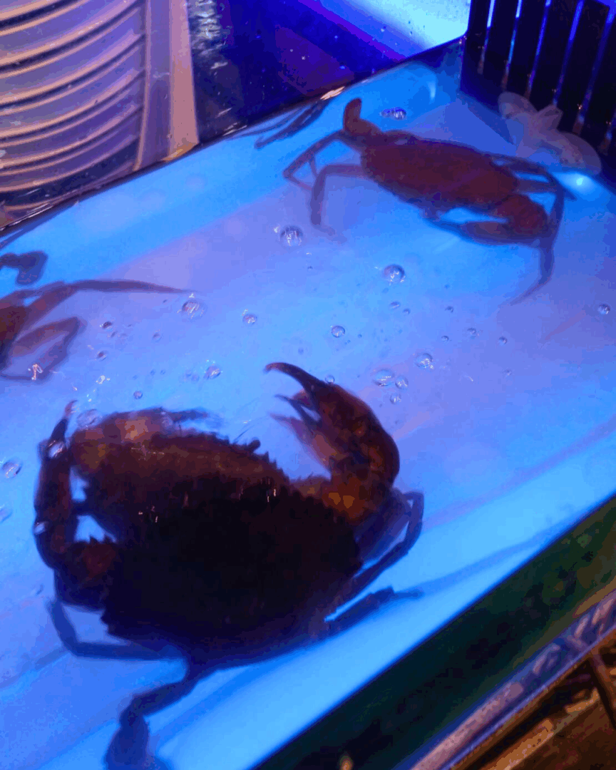 コートタレー シーフードビュッフェ