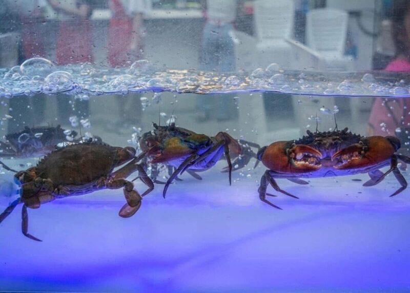 Kodtalay Seafood Buffet Sukhumvit