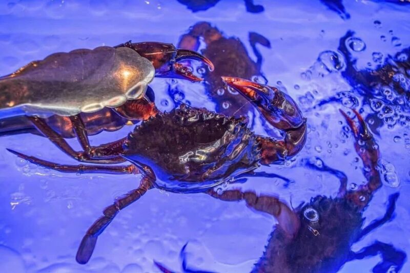 Kodtalay Seafood Buffet Sukhumvit