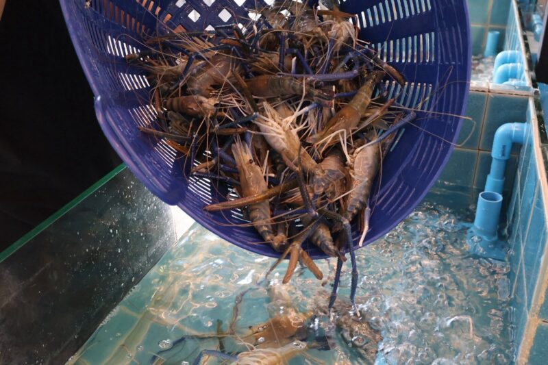 Kodtalay Seafood Buffet Sukhumvit