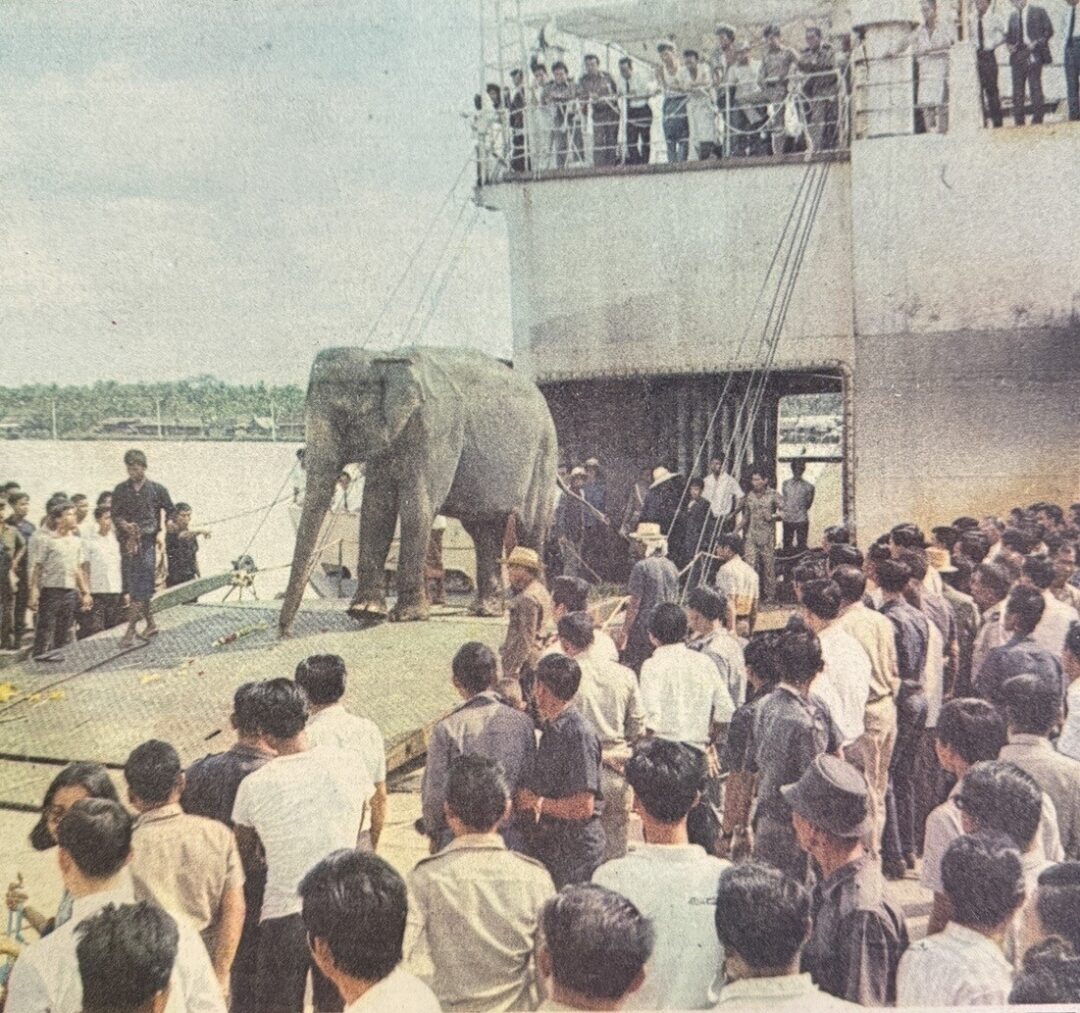 象の到着を見守る日本人。50年前の大阪万博の様子