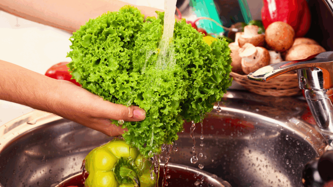 キッチンシンクで葉物野菜（レタス）を流水で洗う様子。特に寄生虫のリスクがある葉物野菜の丁寧な洗浄方法を示す画像。