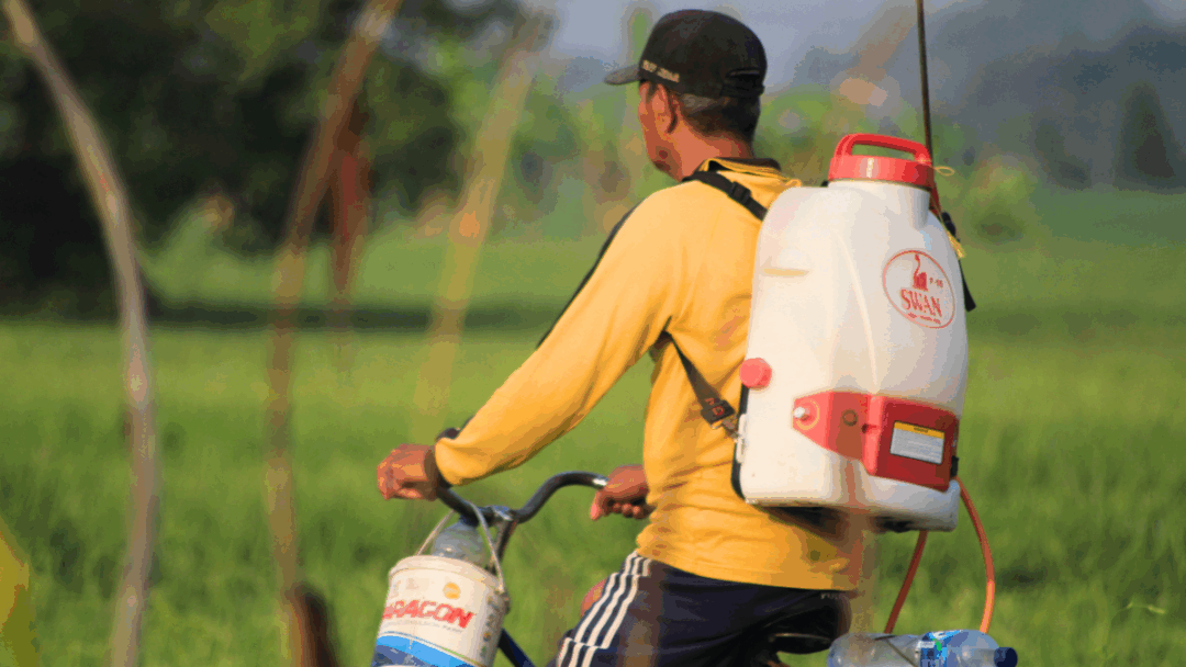 農薬の噴霧器を背負い、自転車に乗るタイの農家。タイの残留農薬問題の背景にある、農家の現状や農薬の使用実態を象徴する画像。