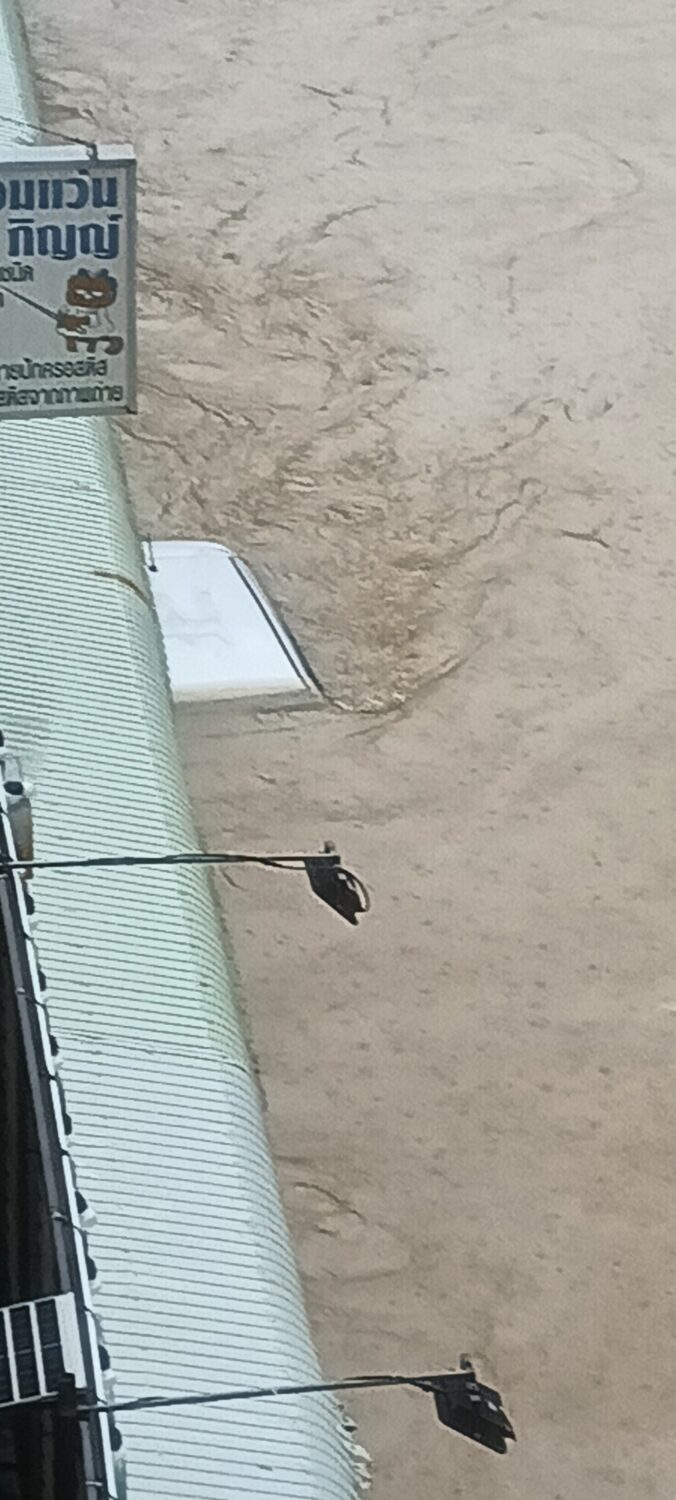 屋根しか見えない屋外に路上駐車された車の屋根11/24