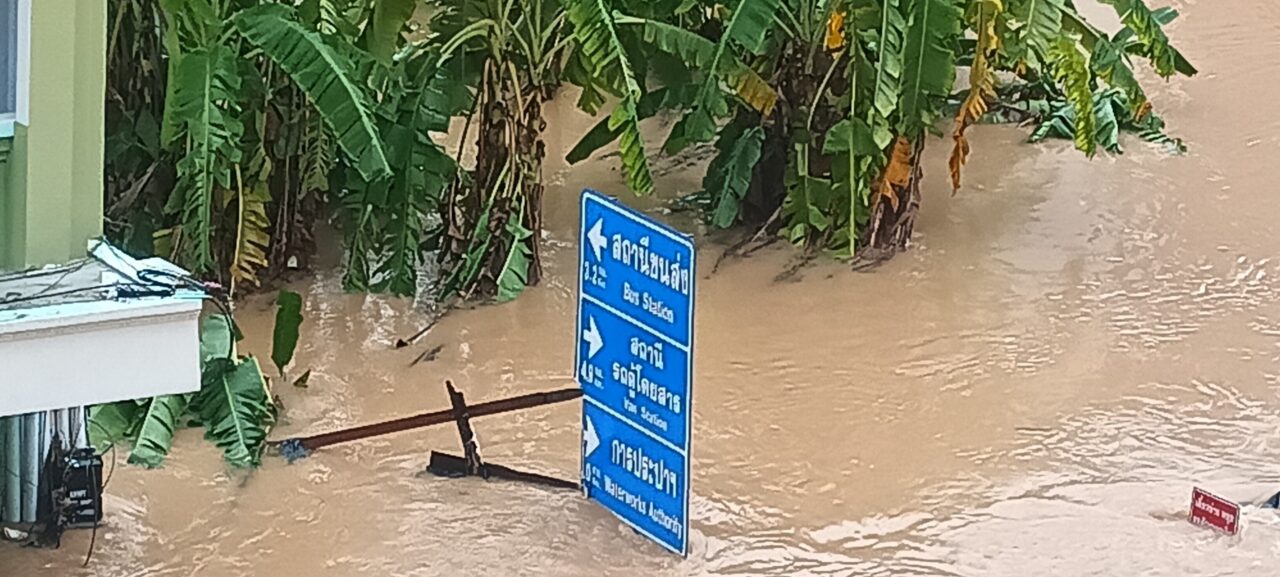 下がった水位を看板で確認する様子11/26