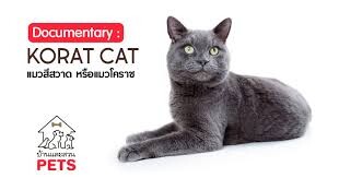 コラート（Korat / シサワット）