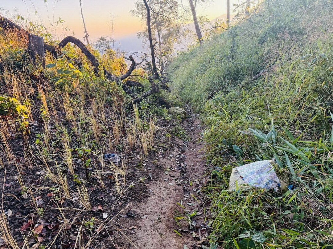 銃撃戦のおこった、タイとミャンマーの国境付近