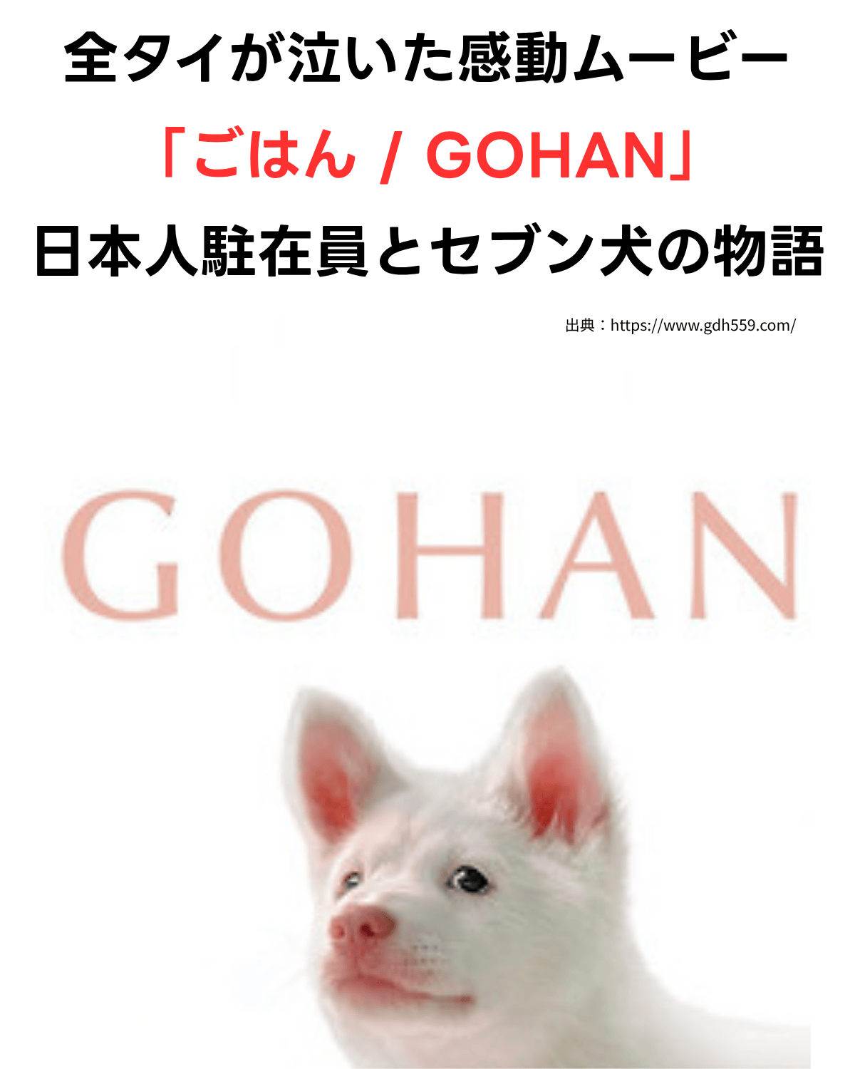 白い子犬が上を見上げている映画『GOHAN』のポスター背景に、「全タイが泣いた感動ムービー」「ごはん / GOHAN」「日本人駐在員とセブン犬の物語」という日本語テキストを重ねたニュース用サムネイル画像。下部には出典元URL（gdh559.com）が記載されている。