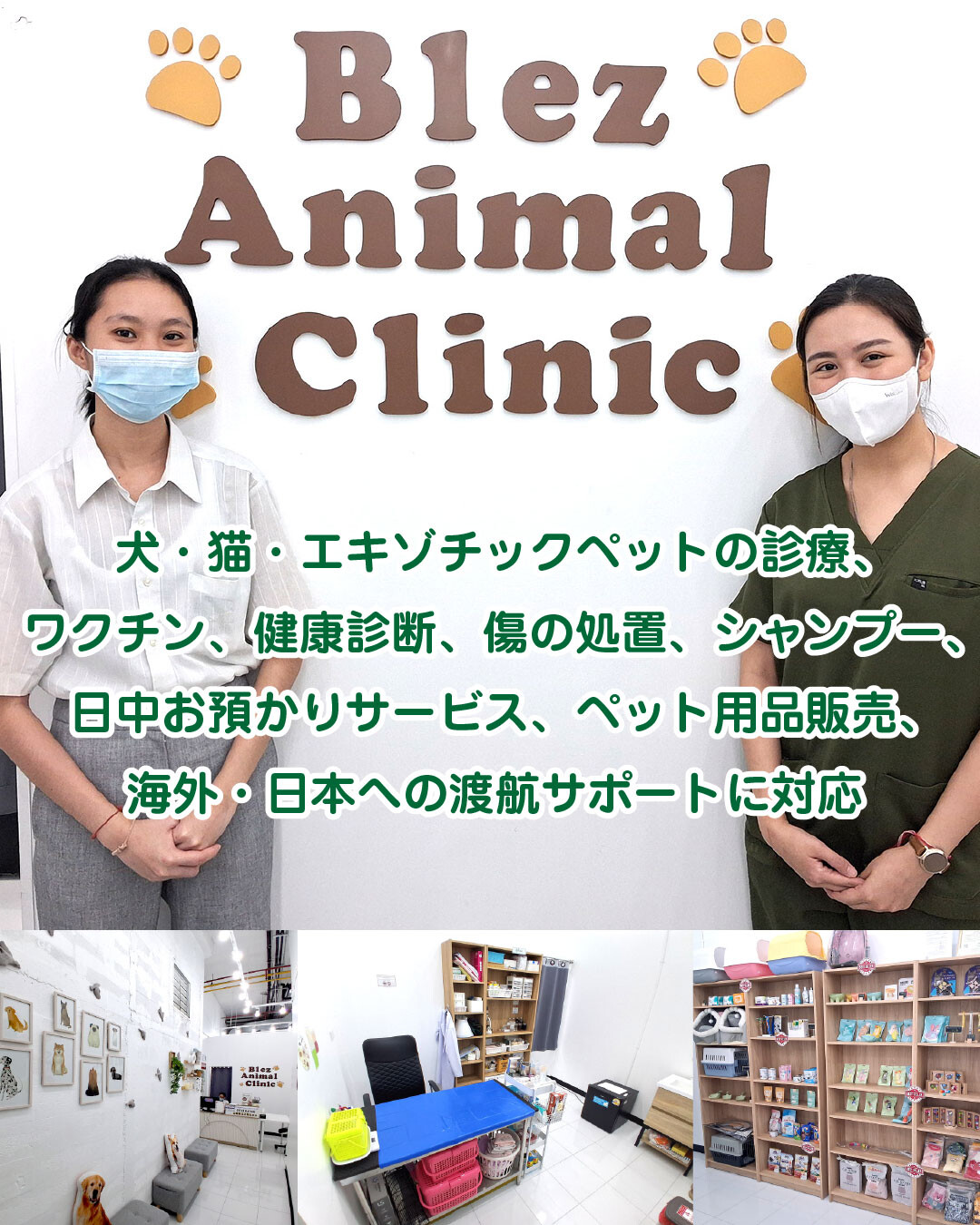 BLEZ ANIMAL CLINIC(ブレズ アニマル クリニック) ドンキモールトンローTOP